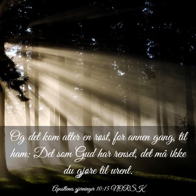 Picture 03 - Apostlenes gjerninger 10:15 NORSK - Og det kom atter en røst, for annen gang, til - Bible Verse Picture