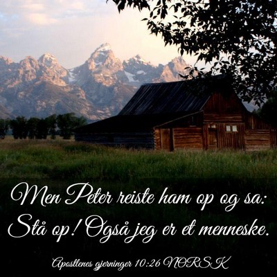 Picture 03 - Apostlenes gjerninger 10:26 NORSK - Men Peter reiste ham op og sa: Stå op! Også jeg - Bible Verse Picture