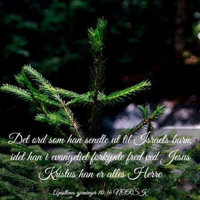 Picture 03 - Apostlenes gjerninger 10:36 NORSK - Det ord som han sendte ut til Israels barn, idet - Bible Verse Picture