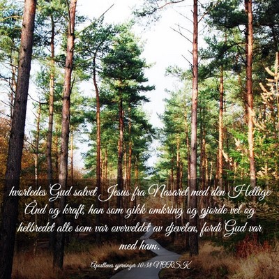 Picture 03 - Apostlenes gjerninger 10:38 NORSK - hvorledes Gud salvet Jesus fra Nasaret med den - Bible Verse Picture