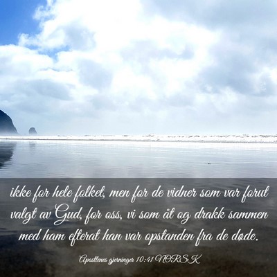 Picture 03 - Apostlenes gjerninger 10:41 NORSK - ikke for hele folket, men for de vidner som var - Bible Verse Picture