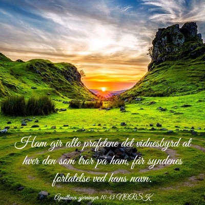 Picture 03 - Apostlenes gjerninger 10:43 NORSK - Ham gir alle profetene det vidnesbyrd at hver den - Bible Verse Picture