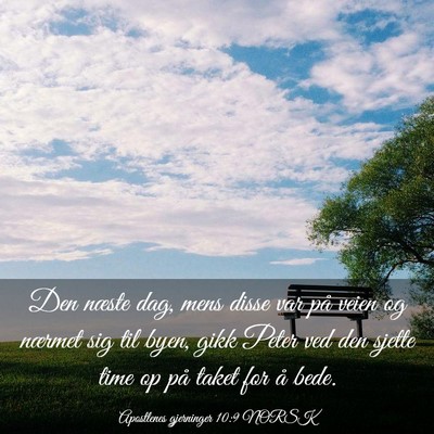 Picture 03 - Apostlenes gjerninger 10:9 NORSK - Den næste dag, mens disse var på veien og - Bible Verse Picture