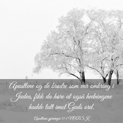 Picture 03 - Apostlenes gjerninger 11:1 NORSK - Apostlene og de brødre som var omkring i Judea, - Bible Verse Picture