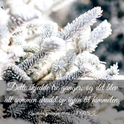 Picture 03 - Apostlenes gjerninger 11:10 NORSK - Dette skjedde tre ganger; og det blev alt sammen - Bible Verse Picture