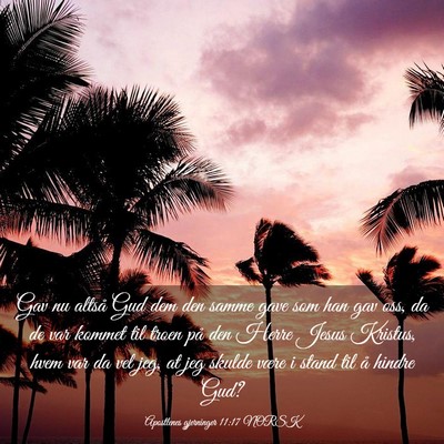 Picture 03 - Apostlenes gjerninger 11:17 NORSK - Gav nu altså Gud dem den samme gave som han gav - Bible Verse Picture