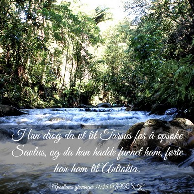 Picture 03 - Apostlenes gjerninger 11:25 NORSK - Han drog da ut til Tarsus for å opsøke Saulus, - Bible Verse Picture