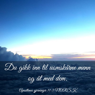 Picture 03 - Apostlenes gjerninger 11:3 NORSK - Du gikk inn til uomskårne menn og åt med - Bible Verse Picture