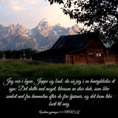 Picture 03 - Apostlenes gjerninger 11:5 NORSK - Jeg var i byen Joppe og bad; da så jeg i en - Bible Verse Picture