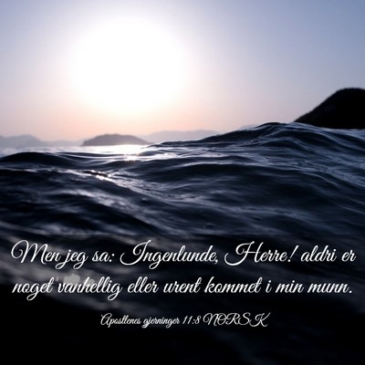 Picture 03 - Apostlenes gjerninger 11:8 NORSK - Men jeg sa: Ingenlunde, Herre! aldri er noget - Bible Verse Picture