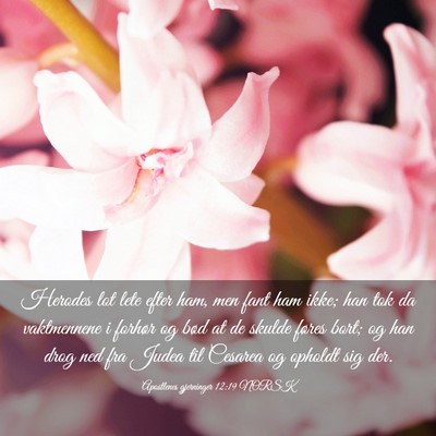 Picture 03 - Apostlenes gjerninger 12:19 NORSK - Herodes lot lete efter ham, men fant ham ikke; - Bible Verse Picture