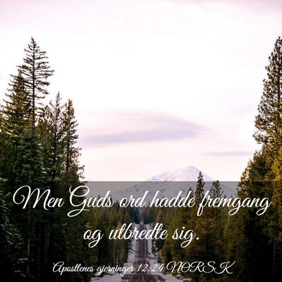 Picture 03 - Apostlenes gjerninger 12:24 NORSK - Men Guds ord hadde fremgang og utbredte - Bible Verse Picture