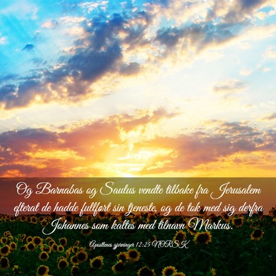 Picture 03 - Apostlenes gjerninger 12:25 NORSK - Og Barnabas og Saulus vendte tilbake fra - Bible Verse Picture