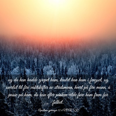Picture 03 - Apostlenes gjerninger 12:4 NORSK - og da han hadde grepet ham, kastet han ham i - Bible Verse Picture