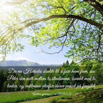 Picture 03 - Apostlenes gjerninger 12:6 NORSK - Da nu Herodes skulde til å føre ham frem, sov - Bible Verse Picture