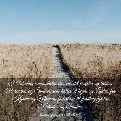 Picture 03 - Apostlenes gjerninger 13:1 NORSK - I Antiokia, i menigheten der, var det profeter og - Bible Verse Picture