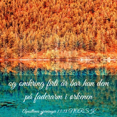 Picture 03 - Apostlenes gjerninger 13:18 NORSK - og omkring firti år bar han dem på faderarm i - Bible Verse Picture