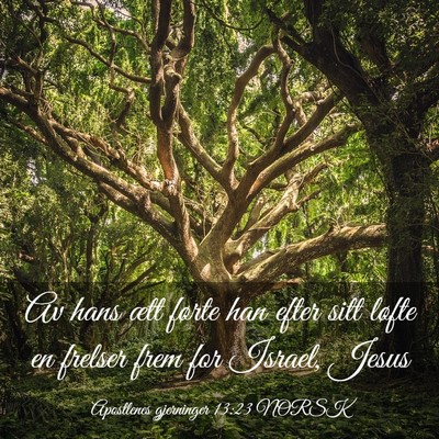 Picture 03 - Apostlenes gjerninger 13:23 NORSK - Av hans ætt førte han efter sitt løfte en - Bible Verse Picture