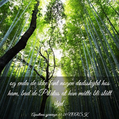 Picture 03 - Apostlenes gjerninger 13:28 NORSK - og enda de ikke fant nogen dødsskyld hos ham, - Bible Verse Picture