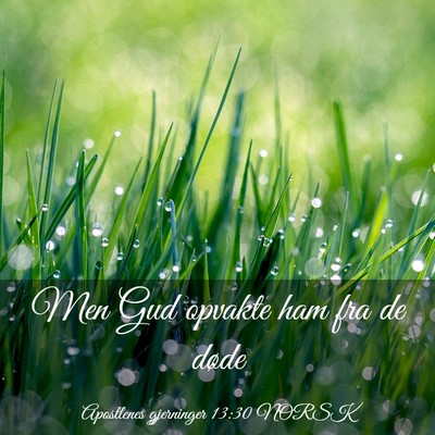 Picture 03 - Apostlenes gjerninger 13:30 NORSK - Men Gud opvakte ham fra de - Bible Verse Picture