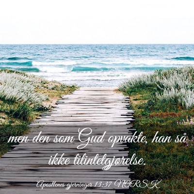 Picture 03 - Apostlenes gjerninger 13:37 NORSK - men den som Gud opvakte, han så ikke - Bible Verse Picture