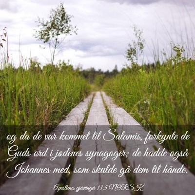 Picture 03 - Apostlenes gjerninger 13:5 NORSK - og da de var kommet til Salamis, forkynte de Guds - Bible Verse Picture