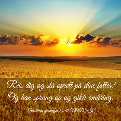 Picture 03 - Apostlenes gjerninger 14:10 NORSK - Reis dig og stå oprett på dine føtter! Og han - Bible Verse Picture
