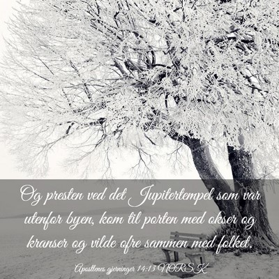 Picture 03 - Apostlenes gjerninger 14:13 NORSK - Og presten ved det Jupitertempel som var utenfor - Bible Verse Picture