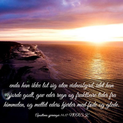 Picture 03 - Apostlenes gjerninger 14:17 NORSK - enda han ikke lot sig uten vidnesbyrd, idet han - Bible Verse Picture