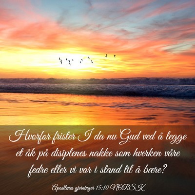Picture 03 - Apostlenes gjerninger 15:10 NORSK - Hvorfor frister I da nu Gud ved å legge et åk - Bible Verse Picture