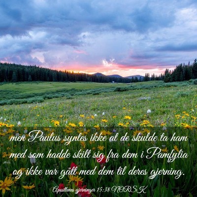 Picture 03 - Apostlenes gjerninger 15:38 NORSK - men Paulus syntes ikke at de skulde ta ham med - Bible Verse Picture