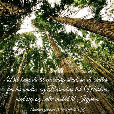 Picture 03 - Apostlenes gjerninger 15:39 NORSK - Det kom da til en skarp strid, så de skiltes fra - Bible Verse Picture