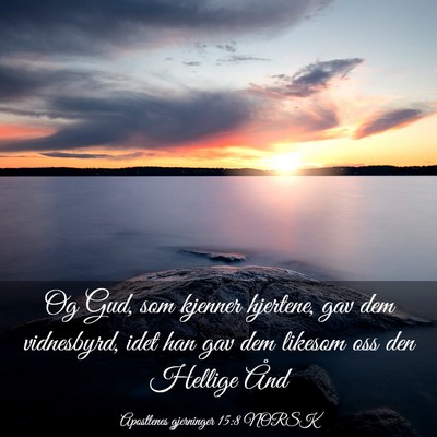 Picture 03 - Apostlenes gjerninger 15:8 NORSK - Og Gud, som kjenner hjertene, gav dem vidnesbyrd, - Bible Verse Picture