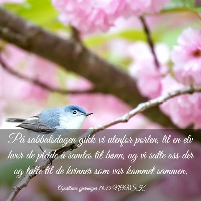 Picture 03 - Apostlenes gjerninger 16:13 NORSK - På sabbatsdagen gikk vi utenfor porten, til en - Bible Verse Picture
