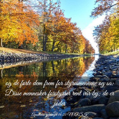 Picture 03 - Apostlenes gjerninger 16:20 NORSK - og de førte dem frem for styresmennene og sa: - Bible Verse Picture