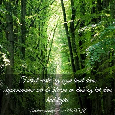 Picture 03 - Apostlenes gjerninger 16:22 NORSK - Folket reiste sig også imot dem; styresmennene - Bible Verse Picture