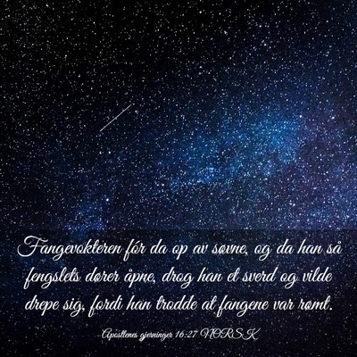 Picture 03 - Apostlenes gjerninger 16:27 NORSK - Fangevokteren fór da op av søvne, og da han så - Bible Verse Picture
