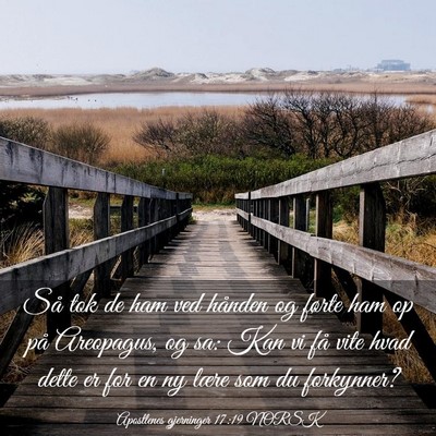 Picture 03 - Apostlenes gjerninger 17:19 NORSK - Så tok de ham ved hånden og førte ham op på - Bible Verse Picture