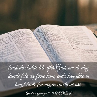 Picture 03 - Apostlenes gjerninger 17:27 NORSK - forat de skulde lete efter Gud, om de dog kunde - Bible Verse Picture