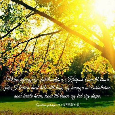Picture 03 - Apostlenes gjerninger 18:8 NORSK - Men synagoge-forstanderen Krispus kom til troen - Bible Verse Picture