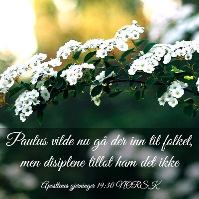 Picture 03 - Apostlenes gjerninger 19:30 NORSK - Paulus vilde nu gå der inn til folket, men - Bible Verse Picture