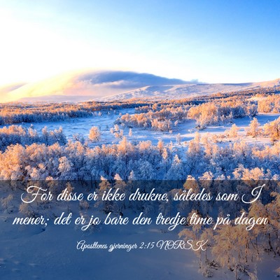 Picture 03 - Apostlenes gjerninger 2:15 NORSK - For disse er ikke drukne, således som I mener; - Bible Verse Picture
