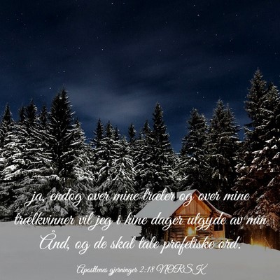 Picture 03 - Apostlenes gjerninger 2:18 NORSK - ja, endog over mine træler og over mine - Bible Verse Picture