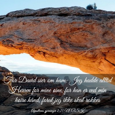 Picture 03 - Apostlenes gjerninger 2:25 NORSK - For David sier om ham: Jeg hadde alltid Herren - Bible Verse Picture