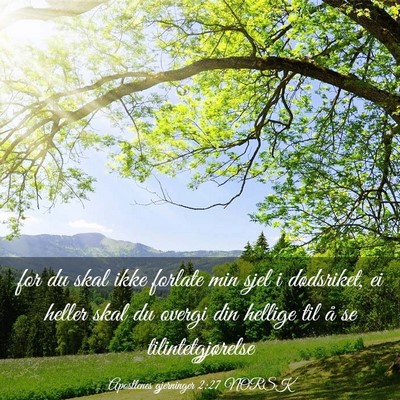 Picture 03 - Apostlenes gjerninger 2:27 NORSK - for du skal ikke forlate min sjel i dødsriket, - Bible Verse Picture