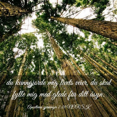 Picture 03 - Apostlenes gjerninger 2:28 NORSK - du kunngjorde mig livets veier, du skal fylle mig - Bible Verse Picture