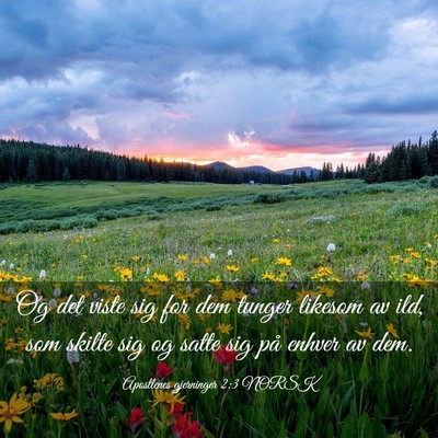 Picture 03 - Apostlenes gjerninger 2:3 NORSK - Og det viste sig for dem tunger likesom av ild, - Bible Verse Picture