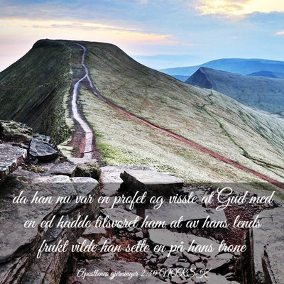 Picture 03 - Apostlenes gjerninger 2:30 NORSK - da han nu var en profet og visste at Gud med en - Bible Verse Picture