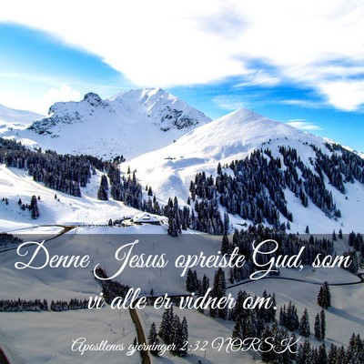Picture 03 - Apostlenes gjerninger 2:32 NORSK - Denne Jesus opreiste Gud, som vi alle er vidner - Bible Verse Picture