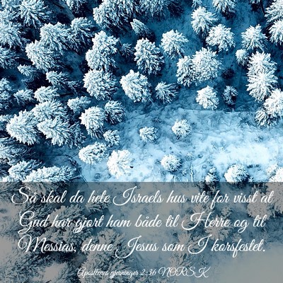 Picture 03 - Apostlenes gjerninger 2:36 NORSK - Så skal da hele Israels hus vite for visst at - Bible Verse Picture